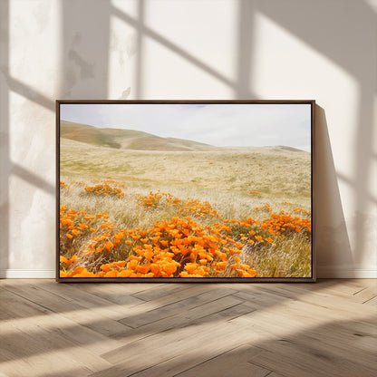 28972262-MGV-FC-36X24_Walnut-Golden Wildflowers Wall Art Canvas Print, Framed Hills Bloom Art Picture Print, Poppy Meadow Perfect Rustic Nature Decor Artwork