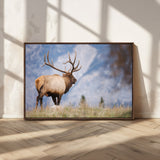 26365841-MGV-CV-36X24-Mountain Elk Art Wall Art Canvas Print, Framed Rustic Wildlife Print Art Picture Print, Lodge Style Decor Perfect Rustic Lodge