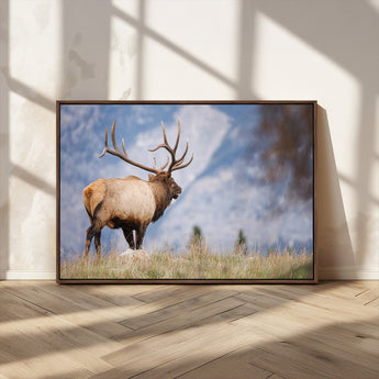 26365841-MGV-CV-36X24-Mountain Elk Art Wall Art Canvas Print, Framed Rustic Wildlife Print Art Picture Print, Lodge Style Decor Perfect Rustic Lodge