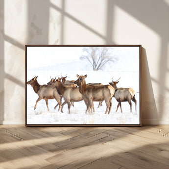 68738684-MGV-CV-36X24-Winter Elk Scene Wall Art Canvas Print, Framed Wildlife Photography Art Picture Print, Snowy Deer Decor Perfect Rustic Lodge Decor