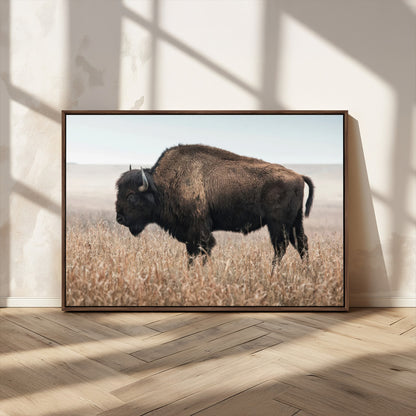 34451925-MGV-CV-36X24-Rustic Bison Decor Wall Art Canvas Print, Framed Buffalo Home Accent Art Picture Print, Prairie Wildlife Scene Perfect Western