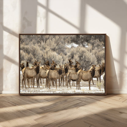 90269422-MGV-CV-36X24-Elk Herd Scene Wall Art Canvas Print, Framed Rustic Wildlife Decor Art Picture Print, Western Cabin Style Perfect Rustic Lodge