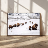 13891210-MGV-CV-36X24-Bison Herd Scene Wall Art Canvas Print, Framed Western Wildlife Decor Art Picture Print, Snowy Mountain Valley Perfect Rustic