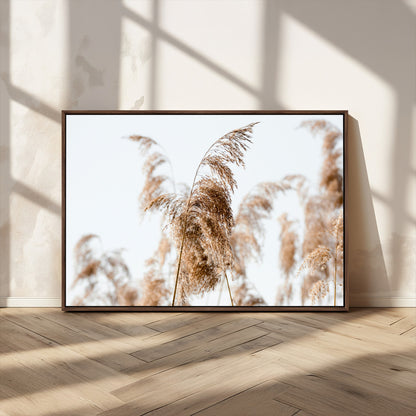17019393-MGV-CV-36X24-Pampas Grass Wall Art Canvas Print, Framed Neutral Tones Art Picture Print, Minimalist Nature Perfect Boho Minimalist Decor