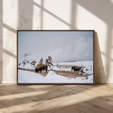 60308289-MGV-CV-36X24-Bison Wildlife Wall Art Canvas Print, Framed Snowy Prairie Art Picture Print, Western Landscape Perfect Rustic Winter Decor