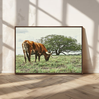 91866234-MGV-CV-36X24-Texas Longhorn Wall Art Canvas Print, Framed Rustic Ranch Art Picture Print, Western Cattle Perfect Rustic Farmhouse Decor Artwork