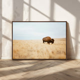 61392510-MGV-CV-36X24-Buffalo Wall Art Wall Art Canvas Print, Framed Western Wildlife Decor Art Picture Print, Rustic Farmhouse Art Perfect Rustic