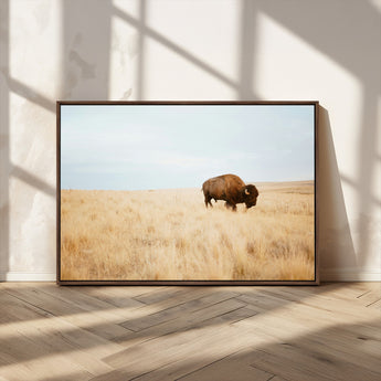 61392510-MGV-CV-36X24-Buffalo Wall Art Wall Art Canvas Print, Framed Western Wildlife Decor Art Picture Print, Rustic Farmhouse Art Perfect Rustic