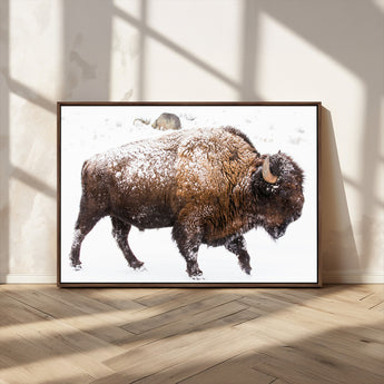 94261165-MGV-CV-36X24-Snowy Buffalo Wall Art Canvas Print, Framed Wildlife Photography Art Picture Print, Brown Tones Perfect Rustic Lodge Decor Decor