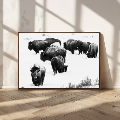 18914414-MGV-CV-36X24-Buffalo Herd Wall Art Canvas Print, Framed Black and White Art Picture Print, Snowy Landscape Perfect Rustic Lodge Decor Decor
