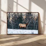 36533178-MGV-CV-36X24-Wild Elk Photography Wall Art Canvas Print, Framed Winter Wildlife Art Picture Print, Snowy Forest Perfect Rustic Lodge Decor