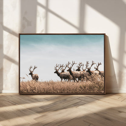 81594705-MGV-CV-36X24-Elk Herd Wall Art Canvas Print, Framed Wildlife Photography Art Picture Print, Rustic Nature Print Perfect Rustic Wildlife Decor