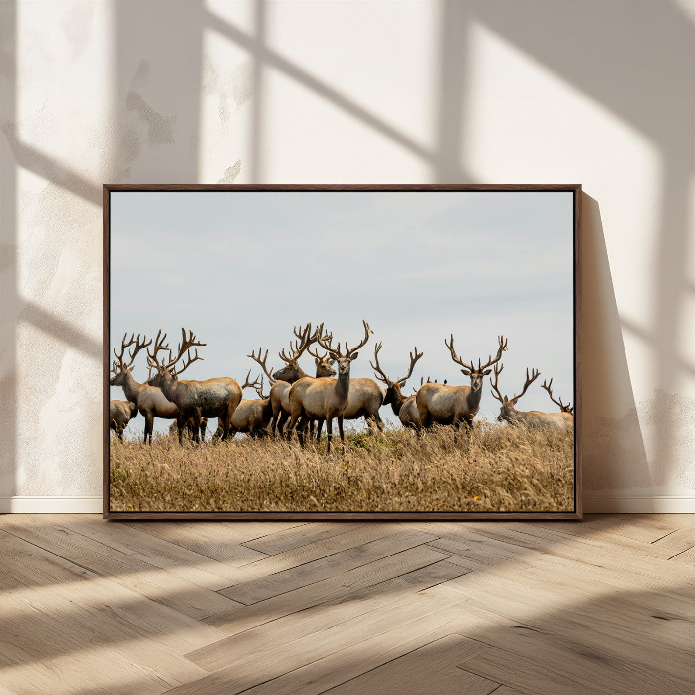 42170220-MGV-CV-36X24-Elk Herd Wall Art Canvas Print, Framed Wildlife Photography Art Picture Print, Majestic Antlers Perfect Rustic Wildlife Decor