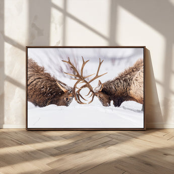 99240306-MGV-CV-36X24-Elk Wall Art – Two Bull Elk Fighting in Snow Canvas Print, Rustic Wildlife Artwork for Cabin, Lodge, Western Farmhouse, Nature &