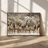 93076148-MGV-CV-36X24-Elk Herd Wall Art – Wildlife Canvas Print of Elk in Winter Landscape, Rustic Western Cabin & Lodge Décor, Nature Photography for