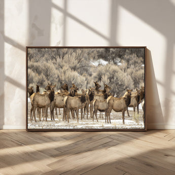 93076148-MGV-CV-36X24-Elk Herd Wall Art – Wildlife Canvas Print of Elk in Winter Landscape, Rustic Western Cabin & Lodge Décor, Nature Photography for