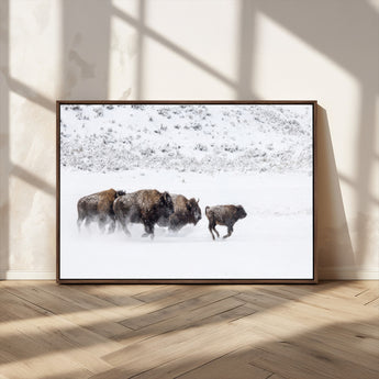 61161423-MGV-CV-36X24-Running Bison Herd Wall Art – Winter Buffalo Canvas Print, Wildlife Photography Decor for Rustic Living Room, Farmhouse, Lodge,
