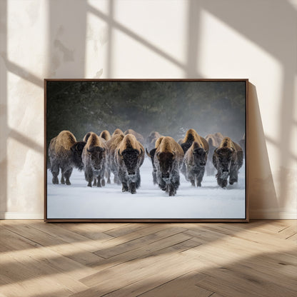 30332489-MGV-FC-36X24_Walnut-Winter Bison Herd Wall Art – Powerful Buffalo Canvas Print, Rustic Wildlife Photography Decor for Farmhouse, Cabin, Lodge, Living