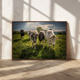 67277447-MGV-FC-36X24_Walnut-Farmhouse Wall Art – Herd of Cows Canvas Print, Rustic Country Pasture Photography Decor for Bedroom, Living Room, Office, Ranch,