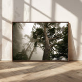 87969493-MGV-CV-36X24-Forest Wall Art – Misty Tall Trees Canvas Print, Dramatic Woodland Photography Decor for Bedroom, Living Room, Office, Cabin,