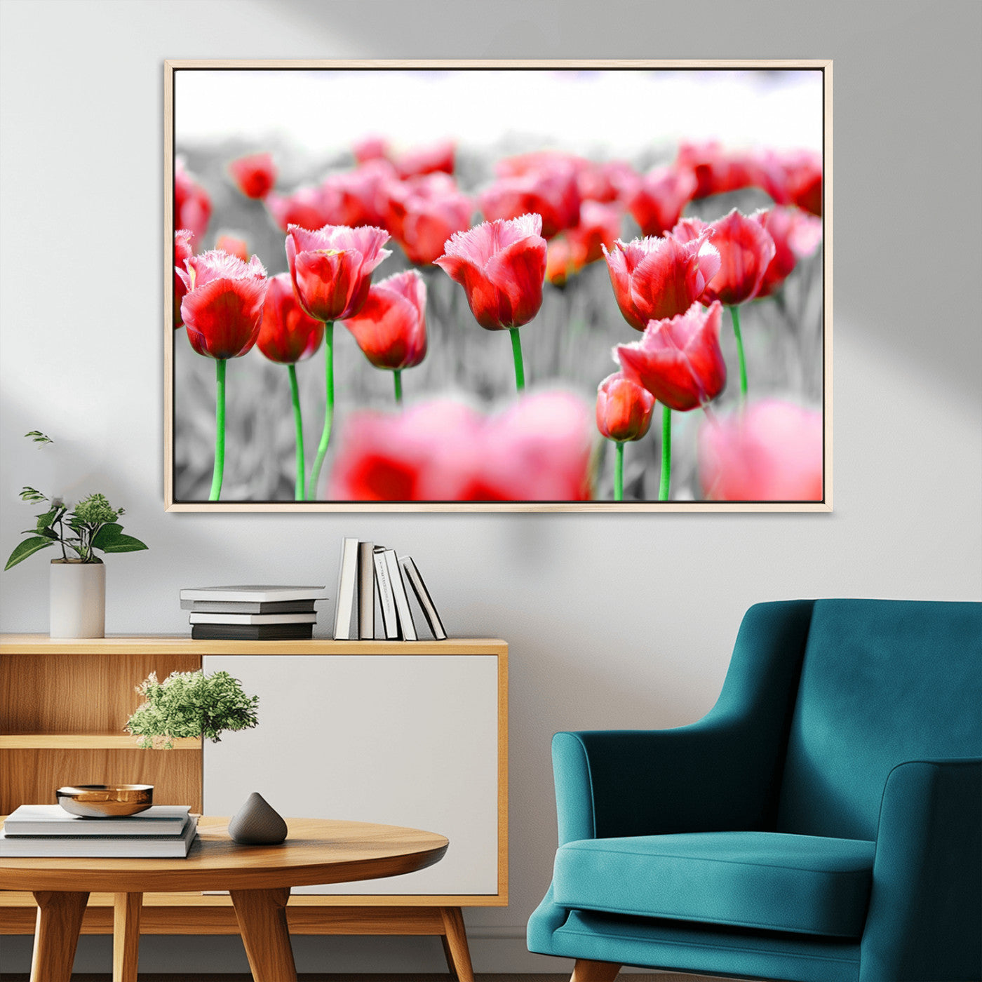 44554-MGV-CV-36X24-Vibrant red tulips stand out beautifully against a black-and-white background, making a striking decor piece perfect for any home