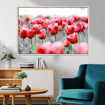 44554-MGV-CV-36X24-Vibrant red tulips stand out beautifully against a black-and-white background, making a striking decor piece perfect for any home