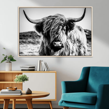 36979-MGV-CV-36X24-Striking black-and-white portrait of a Highland cow with flowing fur and majestic horns, perfect for rustic and elegant home or