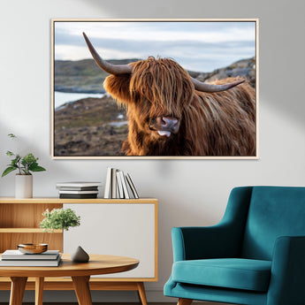 71222-MGV-CV-36X24-A playful Highland cow with shaggy fur sticks out its tongue, set against a rugged landscape — perfect for quirky home or office