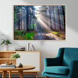 42047-MGV-CV-36X24-Sunlit Forest Path Wall Art – Nature Canvas Print, Serene Woodland Landscape, Perfect Home & Office Decor for Calm and Tranquil