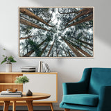 18790-MGV-CV-36X24-Pine Canopy Wall Art – Panoramic View of Towering Pines Canvas Print, Nature-Inspired Decor for Office, Cabin or Living Room