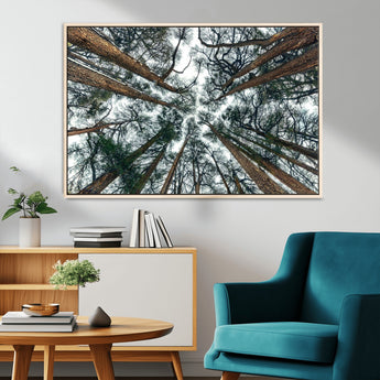 18790-MGV-CV-36X24-Pine Canopy Wall Art – Panoramic View of Towering Pines Canvas Print, Nature-Inspired Decor for Office, Cabin or Living Room