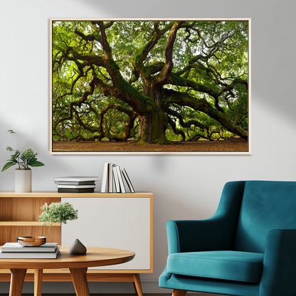 29407-MGV-FC-36X24_Natural-Ancient Oak Tree Wall Art – Majestic Nature Canvas Print, Large Tree Photography Decor for Living Room