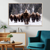 66871-MGV-FC-36X24_Natural-Bison Herd Wall Art – Wildlife Buffalo Canvas Print, Rustic Western Nature Photography Decor for Living Room, Office, Cabin, or