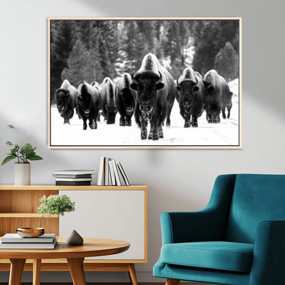 62434-MGV-CV-36X24-Bison Herd Wall Art – Majestic Black and White Buffalo Canvas Print, Wildlife Nature Photography Decor for Living Room, Office or