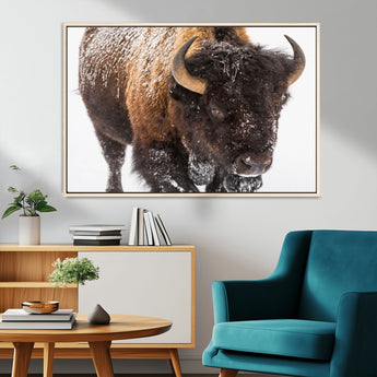 65605-MGV-FC-36X24_Natural-Snow Bison Wall Art – Close Up Buffalo Canvas Print, Rustic Western Wildlife Photography, Farmhouse Cabin Lodge Decor for Living