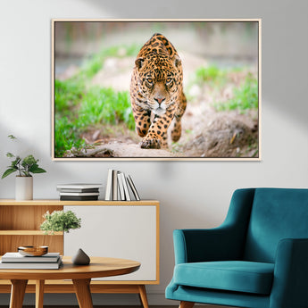 75066-MGV-FC-36X24_Natural-Leopard Wall Art Canvas Print, Framed Wild Animal Art Picture Print, Blue Eye Leopard Perfect Wild Minimal Decor Artwork