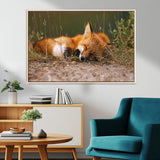 25085-MGV-FC-36X24_Natural-Sleeping Fox Wall Art Canvas Print, Framed Rustic Fox Art Picture Print, Wildlife Animal Perfect Rustic Farmhouse Decor Artwork