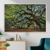 MGV-FC-36X24 - Historic Tree Wall Art Canvas Print, Framed Mossy Tree Art Picture Print, Twisted Branches Perfect Nature Southern Decor Artwork