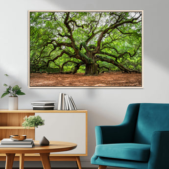 51255351-MGV-CV-36X24-Ancient Tree Wall Art – Majestic Oak Canvas Print, Large Nature Photography, Sacred Forest Landscape Wall Décor, Wisdom Tree