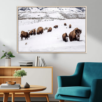 13891210-MGV-CV-36X24-Bison Herd Scene Wall Art Canvas Print, Framed Western Wildlife Decor Art Picture Print, Snowy Mountain Valley Perfect Rustic