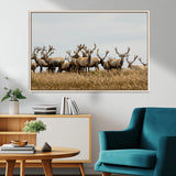 42170220-MGV-CV-36X24-Elk Herd Wall Art Canvas Print, Framed Wildlife Photography Art Picture Print, Majestic Antlers Perfect Rustic Wildlife Decor