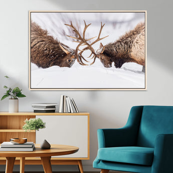 99240306-MGV-CV-36X24-Elk Wall Art – Two Bull Elk Fighting in Snow Canvas Print, Rustic Wildlife Artwork for Cabin, Lodge, Western Farmhouse, Nature &