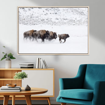 61161423-MGV-CV-36X24-Running Bison Herd Wall Art – Winter Buffalo Canvas Print, Wildlife Photography Decor for Rustic Living Room, Farmhouse, Lodge,