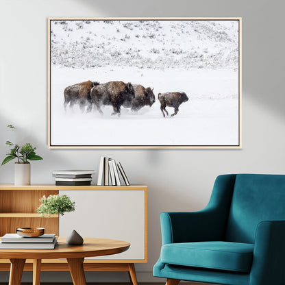 61161423-MGV-CV-36X24-Running Bison Herd Wall Art – Winter Buffalo Canvas Print, Wildlife Photography Decor for Rustic Living Room, Farmhouse, Lodge,