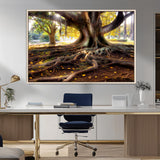 53335-MGV-FC-36X24_Natural-Majestic Tree with Sprawling Roots Wall Art – Serene Sunlit Park Scene, Nature Canvas Print, Perfect for Living Room, Office or