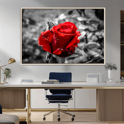 84671-MGV-CV-36X24-Red Rose Wall Art – Vibrant Single Bloom Canvas Print with Black and White Background, Elegant Floral Decor for Living Room,