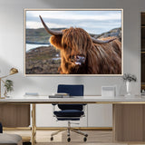 71222-MGV-CV-36X24-A playful Highland cow with shaggy fur sticks out its tongue, set against a rugged landscape — perfect for quirky home or office