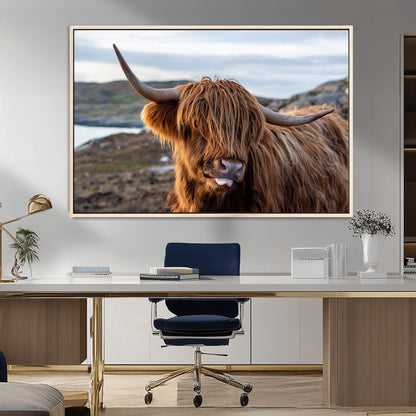 71222-MGV-CV-36X24-A playful Highland cow with shaggy fur sticks out its tongue, set against a rugged landscape — perfect for quirky home or office