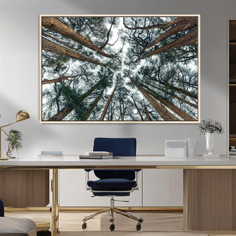 18790-MGV-CV-36X24-Pine Canopy Wall Art – Panoramic View of Towering Pines Canvas Print, Nature-Inspired Decor for Office, Cabin or Living Room
