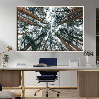 18790-MGV-CV-36X24-Pine Canopy Wall Art – Panoramic View of Towering Pines Canvas Print, Nature-Inspired Decor for Office, Cabin or Living Room